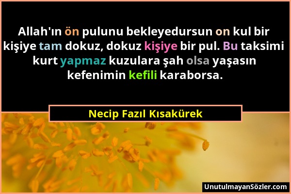 Necip Fazıl Kısakürek - Allah'ın ön pulunu bekleyedursun on kul bir kişiye tam dokuz, dokuz kişiye bir pul. Bu taksimi kurt yapmaz kuzulara şah olsa y...