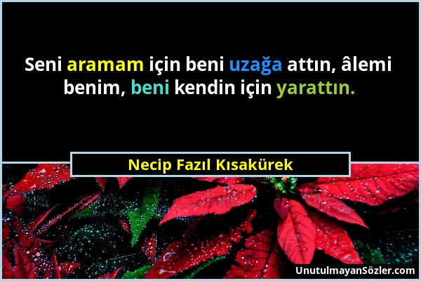 Necip Fazıl Kısakürek - Seni aramam için beni uzağa attın, âlemi benim, beni kendin için yarattın....