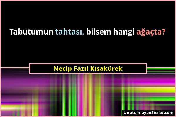 Necip Fazıl Kısakürek - Tabutumun tahtası, bilsem hangi ağaçta?...