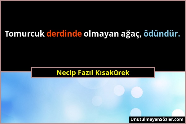Necip Fazıl Kısakürek - Tomurcuk derdinde olmayan ağaç, ödündür....