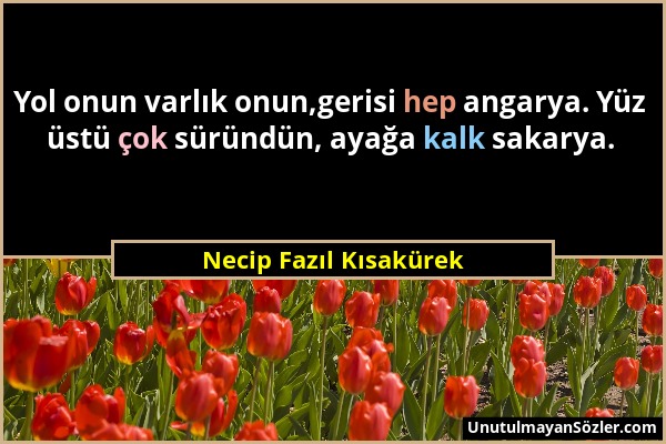Necip Fazıl Kısakürek - Yol onun varlık onun,gerisi hep angarya. Yüz üstü çok süründün, ayağa kalk sakarya....