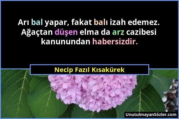 Necip Fazıl Kısakürek - Arı bal yapar, fakat balı izah edemez. Ağaçtan düşen elma da arz cazibesi kanunundan habersizdir....