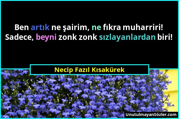 Necip Fazıl Kısakürek - Ben artık ne şairim, ne fıkra muharriri! Sadece, beyni zonk zonk sızlayanlardan biri!...