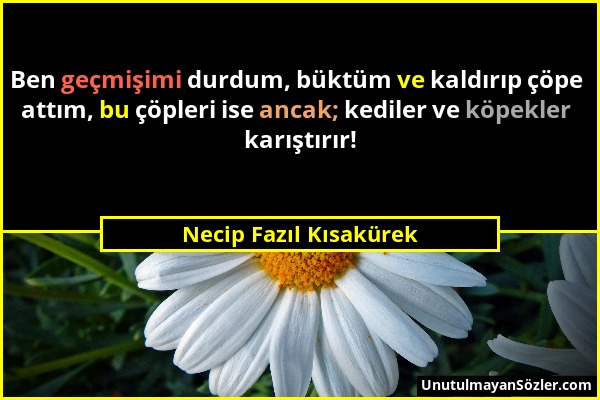 Necip Fazıl Kısakürek - Ben geçmişimi durdum, büktüm ve kaldırıp çöpe attım, bu çöpleri ise ancak; kediler ve köpekler karıştırır!...