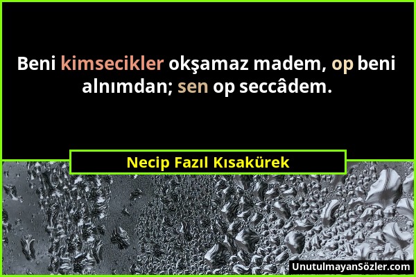 Necip Fazıl Kısakürek - Beni kimsecikler okşamaz madem, op beni alnımdan; sen op seccâdem....