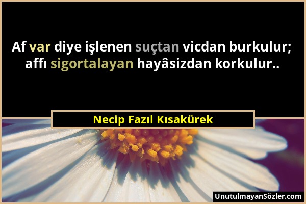 Necip Fazıl Kısakürek - Af var diye işlenen suçtan vicdan burkulur; affı sigortalayan hayâsizdan korkulur.....