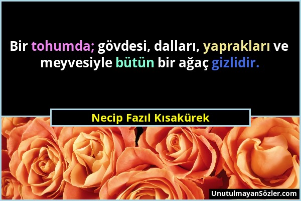 Necip Fazıl Kısakürek - Bir tohumda; gövdesi, dalları, yaprakları ve meyvesiyle bütün bir ağaç gizlidir....