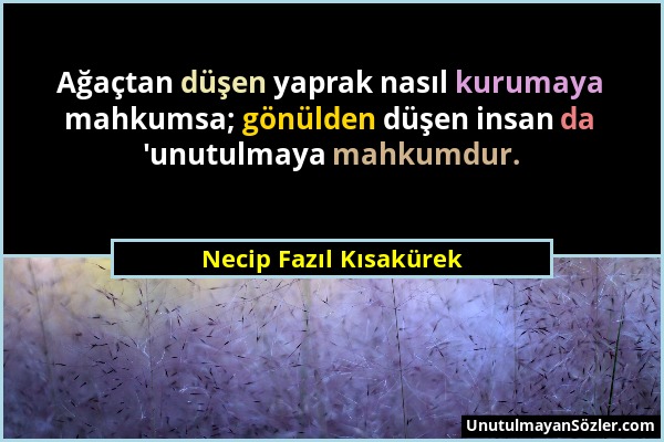 Necip Fazıl Kısakürek - Ağaçtan düşen yaprak nasıl kurumaya mahkumsa; gönülden düşen insan da 'unutulmaya mahkumdur....