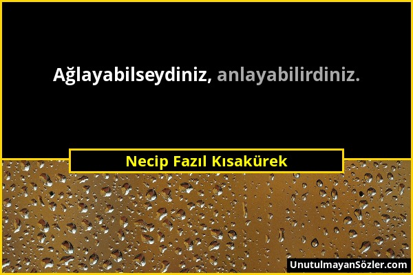 Necip Fazıl Kısakürek - Ağlayabilseydiniz, anlayabilirdiniz....