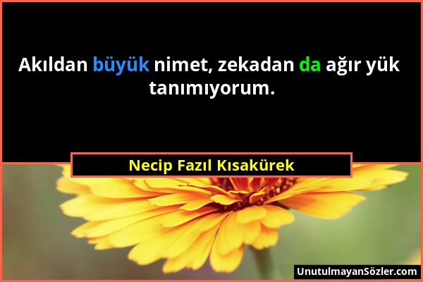 Necip Fazıl Kısakürek - Akıldan büyük nimet, zekadan da ağır yük tanımıyorum....