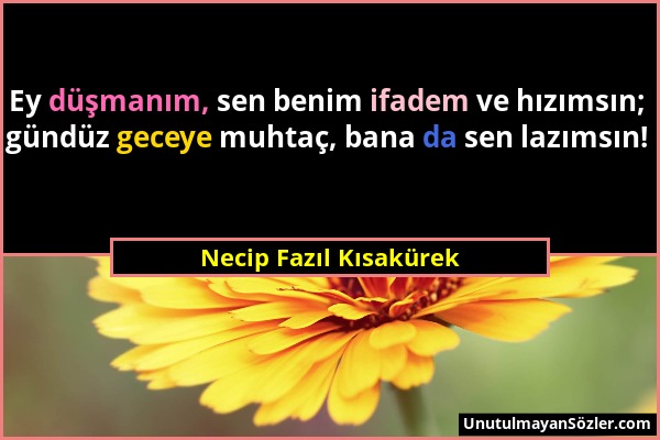 Necip Fazıl Kısakürek - Ey düşmanım, sen benim ifadem ve hızımsın; gündüz geceye muhtaç, bana da sen lazımsın!...