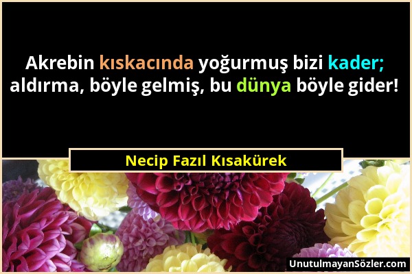 Necip Fazıl Kısakürek - Akrebin kıskacında yoğurmuş bizi kader; aldırma, böyle gelmiş, bu dünya böyle gider!...