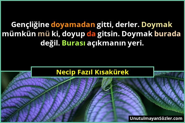 Necip Fazıl Kısakürek - Gençliğine doyamadan gitti, derler. Doymak mümkün mü ki, doyup da gitsin. Doymak burada değil. Burası açıkmanın yeri....
