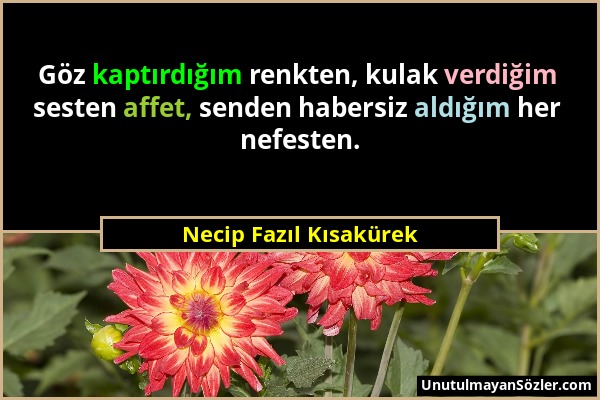 Necip Fazıl Kısakürek - Göz kaptırdığım renkten, kulak verdiğim sesten affet, senden habersiz aldığım her nefesten....