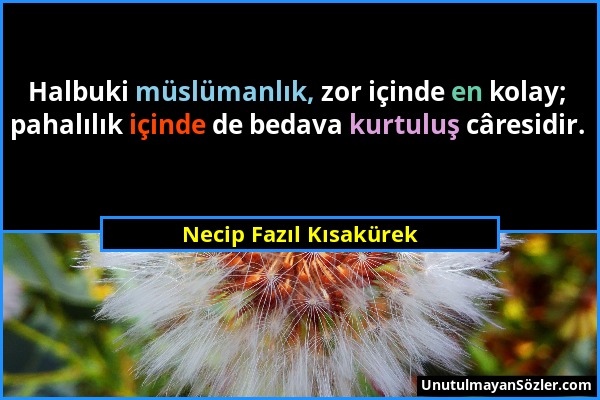 Necip Fazıl Kısakürek - Halbuki müslümanlık, zor içinde en kolay; pahalılık içinde de bedava kurtuluş câresidir....