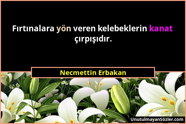 Necmettin Erbakan - Fırtınalara yön veren kelebeklerin kanat çırpışıdır....