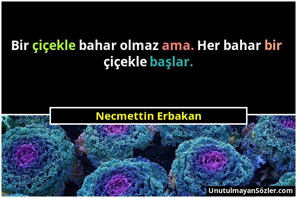 Necmettin Erbakan - Bir çiçekle bahar olmaz ama. Her bahar bir çiçekle başlar....