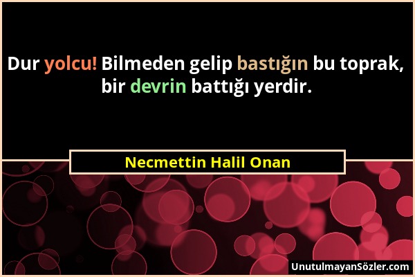 Necmettin Halil Onan - Dur yolcu! Bilmeden gelip bastığın bu toprak, bir devrin battığı yerdir....