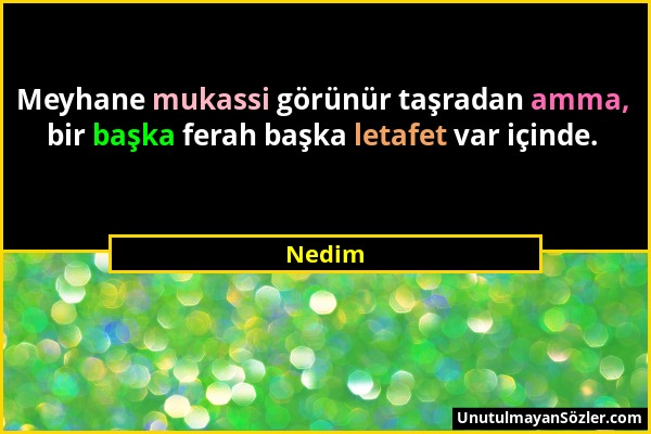 Nedim - Meyhane mukassi görünür taşradan amma, bir başka ferah başka letafet var içinde....