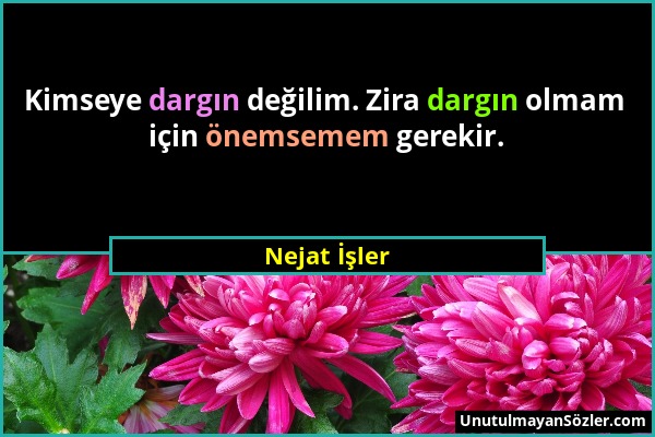 Nejat İşler - Kimseye dargın değilim. Zira dargın olmam için önemsemem gerekir....