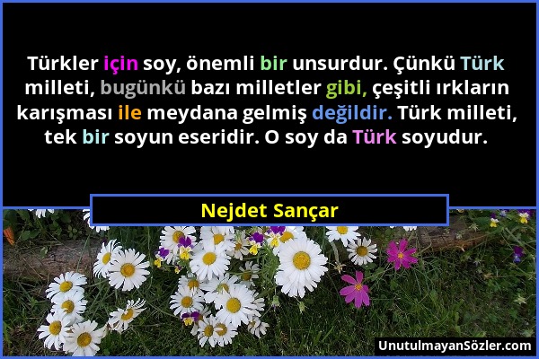 Nejdet Sançar - Türkler için soy, önemli bir unsurdur. Çünkü Türk milleti, bugünkü bazı milletler gibi, çeşitli ırkların karışması ile meydana gelmiş...