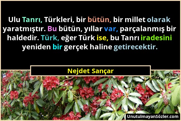 Nejdet Sançar - Ulu Tanrı, Türkleri, bir bütün, bir millet olarak yaratmıştır. Bu bütün, yıllar var, parçalanmış bir haldedir. Türk, eğer Türk ise, bu...