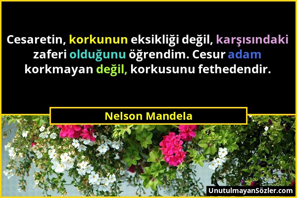 Nelson Mandela - Cesaretin, korkunun eksikliği değil, karşısındaki zaferi olduğunu öğrendim. Cesur adam korkmayan değil, korkusunu fethedendir....