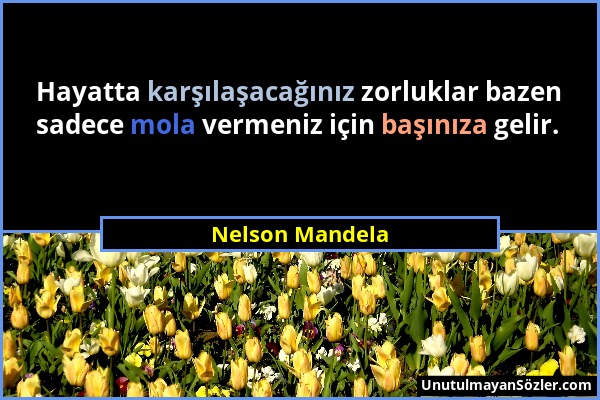 Nelson Mandela - Hayatta karşılaşacağınız zorluklar bazen sadece mola vermeniz için başınıza gelir....