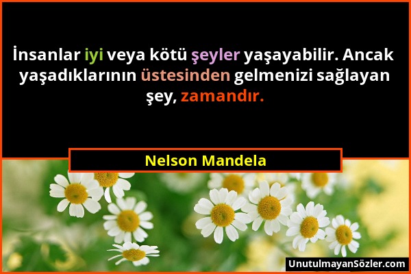 Nelson Mandela - İnsanlar iyi veya kötü şeyler yaşayabilir. Ancak yaşadıklarının üstesinden gelmenizi sağlayan şey, zamandır....