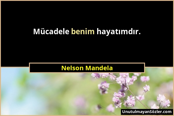 Nelson Mandela - Mücadele benim hayatımdır....