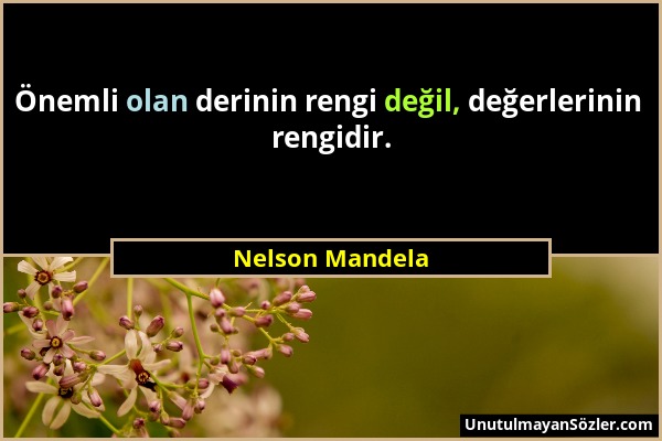 Nelson Mandela - Önemli olan derinin rengi değil, değerlerinin rengidir....