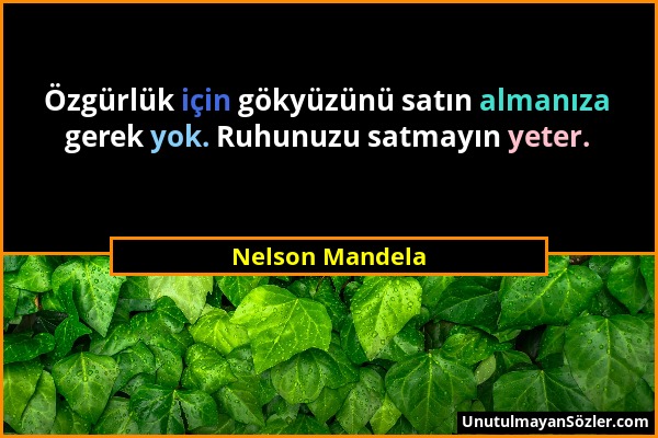 Nelson Mandela - Özgürlük için gökyüzünü satın almanıza gerek yok. Ruhunuzu satmayın yeter....