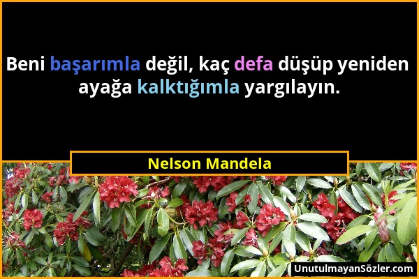 Nelson Mandela - Beni başarımla değil, kaç defa düşüp yeniden ayağa kalktığımla yargılayın....