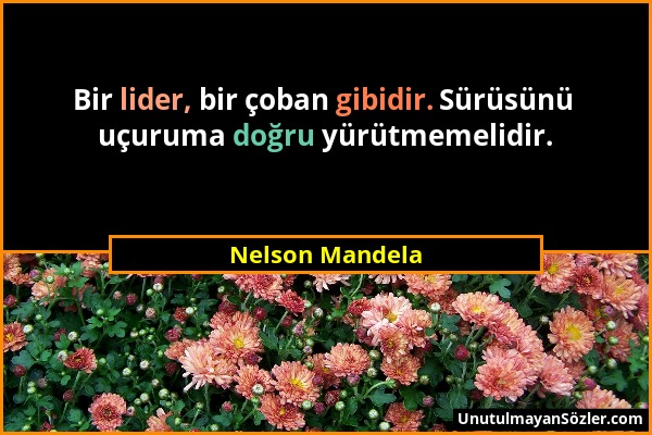 Nelson Mandela - Bir lider, bir çoban gibidir. Sürüsünü uçuruma doğru yürütmemelidir....