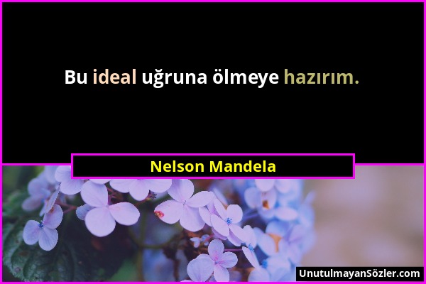 Nelson Mandela - Bu ideal uğruna ölmeye hazırım....