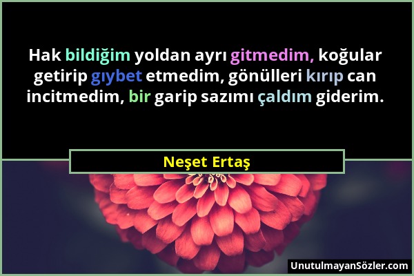 Neşet Ertaş - Hak bildiğim yoldan ayrı gitmedim, koğular getirip gıybet etmedim, gönülleri kırıp can incitmedim, bir garip sazımı çaldım giderim....