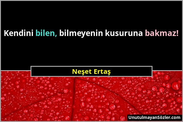 Neşet Ertaş - Kendini bilen, bilmeyenin kusuruna bakmaz!...