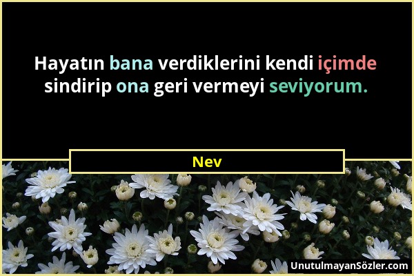 Nev - Hayatın bana verdiklerini kendi içimde sindirip ona geri vermeyi seviyorum....