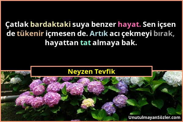 Neyzen Tevfik - Çatlak bardaktaki suya benzer hayat. Sen içsen de tükenir içmesen de. Artık acı çekmeyi bırak, hayattan tat almaya bak....