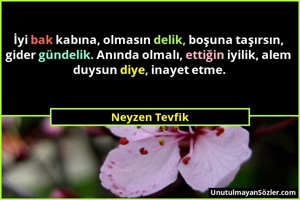 Neyzen Tevfik - İyi bak kabına, olmasın delik, boşuna taşırsın, gider gündelik. Anında olmalı, ettiğin iyilik, alem duysun diye, inayet etme....