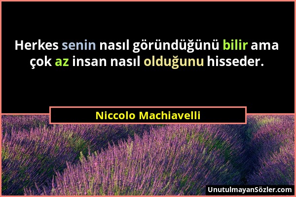 Niccolo Machiavelli - Herkes senin nasıl göründüğünü bilir ama çok az insan nasıl olduğunu hisseder....
