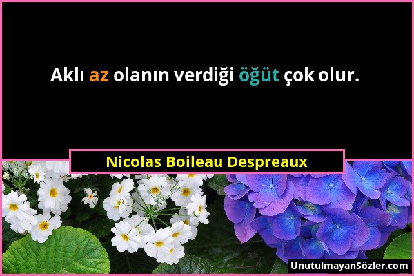 Nicolas Boileau Despreaux - Aklı az olanın verdiği öğüt çok olur....