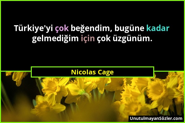 Nicolas Cage - Türkiye'yi çok beğendim, bugüne kadar gelmediğim için çok üzgünüm....