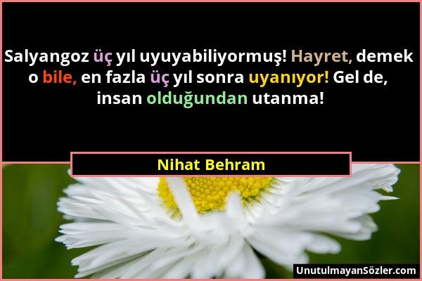 Nihat Behram - Salyangoz üç yıl uyuyabiliyormuş! Hayret, demek o bile, en fazla üç yıl sonra uyanıyor! Gel de, insan olduğundan utanma!...