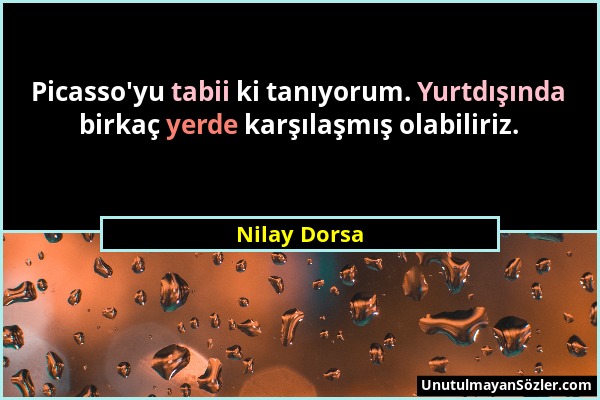 Nilay Dorsa - Picasso'yu tabii ki tanıyorum. Yurtdışında birkaç yerde karşılaşmış olabiliriz....