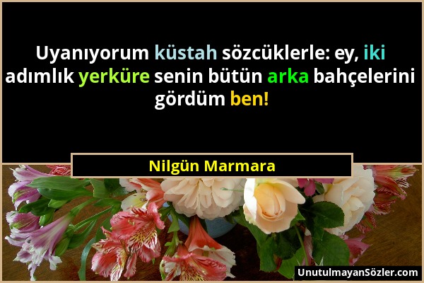 Nilgün Marmara - Uyanıyorum küstah sözcüklerle: ey, iki adımlık yerküre senin bütün arka bahçelerini gördüm ben!...