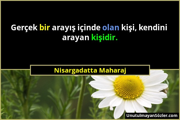 Nisargadatta Maharaj - Gerçek bir arayış içinde olan kişi, kendini arayan kişidir....