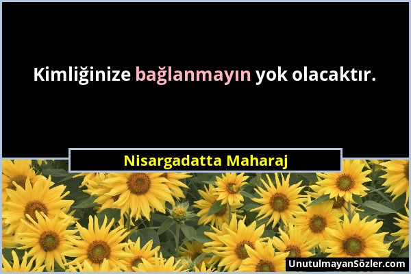 Nisargadatta Maharaj - Kimliğinize bağlanmayın yok olacaktır....