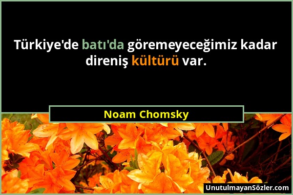 Noam Chomsky - Türkiye'de batı'da göremeyeceğimiz kadar direniş kültürü var....