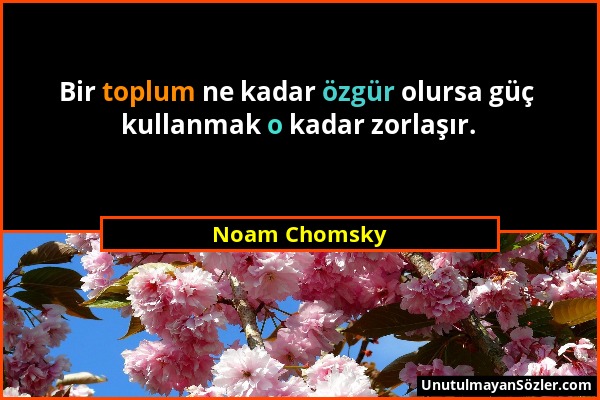 Noam Chomsky - Bir toplum ne kadar özgür olursa güç kullanmak o kadar zorlaşır....